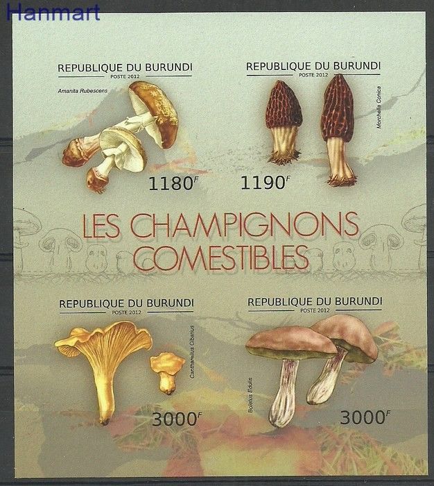Znaczek Burundi 2012 Mi ark2738-2741B Czyste **
