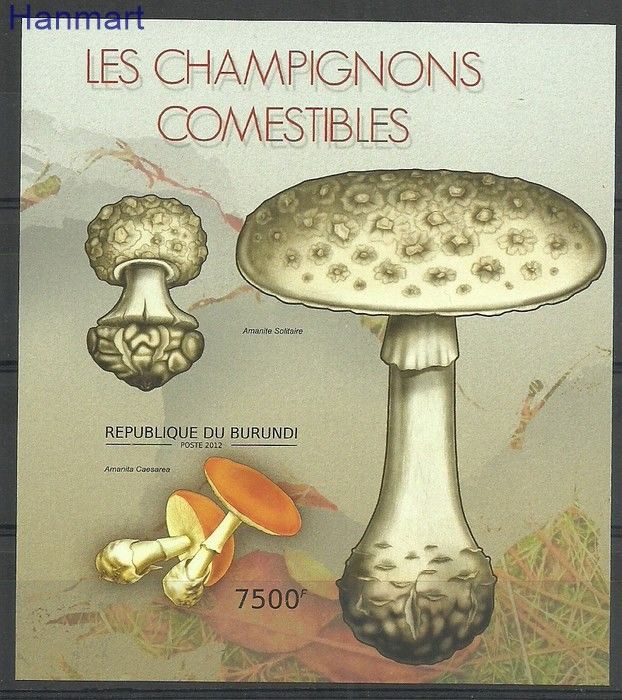 Znaczek Burundi 2012 Mi bl272B Czyste **