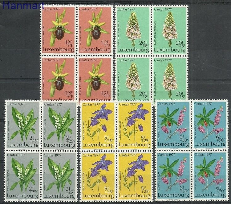 Znaczek Luksemburg 1977 Mi 957-961 Czyste **