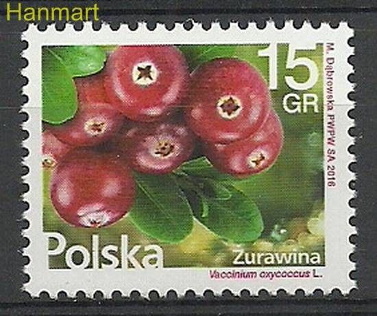 Znaczek Polska 2016 Mi 4871 Fi 4721 Czyste **