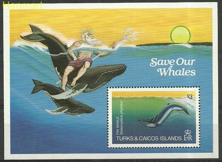 Znaczek Turks i Caicos 1984 Mi bl44 Czyste **
