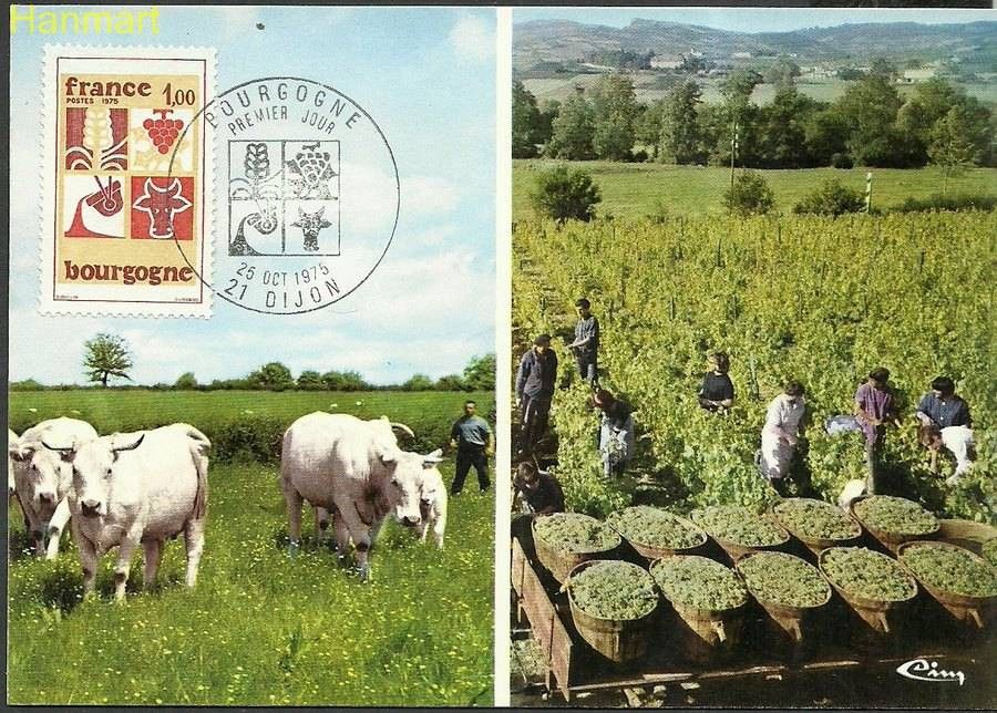 Znaczek Francja 1975 Mi 1936a Karta Max