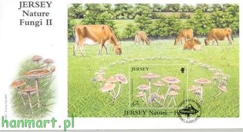 Znaczek Jersey 2005 Mi bl 51 FDC