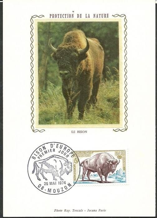 Znaczek Francja 1974 Mi S1874 Karta Max