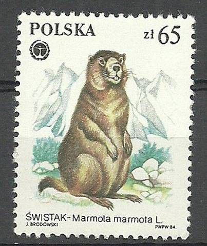Znaczek Polska 1984 Mi 2951 Fi 2803 Czyste **