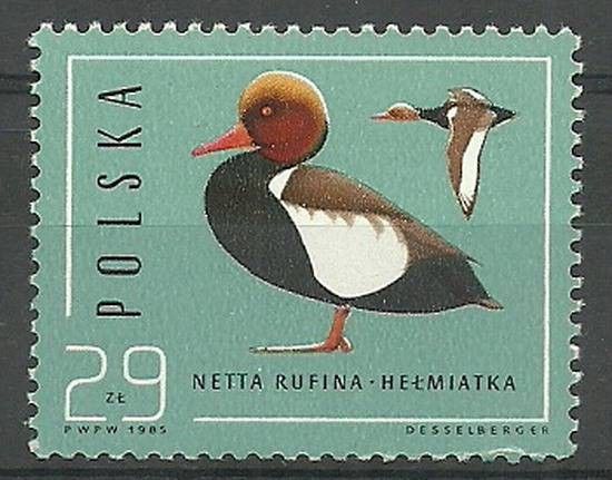 Znaczek Polska 1985 Mi 3003 Fi 2855 Czyste **