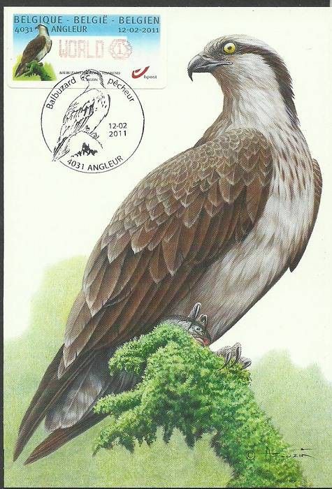 Znaczek Belgia 2011 Mi aut 72 Karta Max