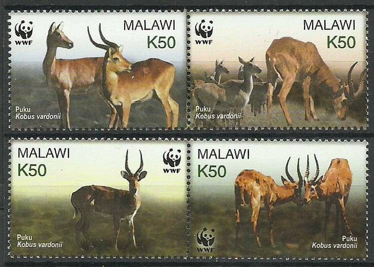 Znaczek Malawi 2003 Mi 721-724 Czyste **
