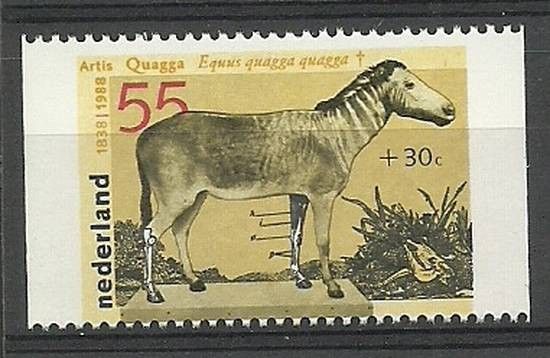 Znaczek Holandia 1988 Mi 1339C Czyste **