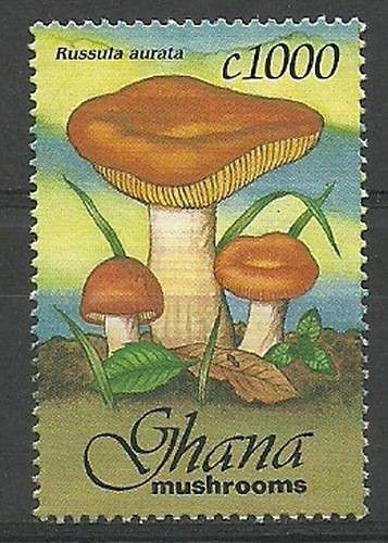 Znaczek Ghana 1993 Mi 1868 Czyste **