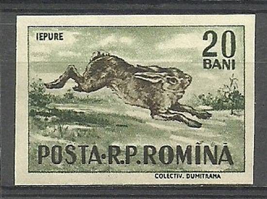 Znaczek Rumunia 1956 Mi 1614 Czyste **