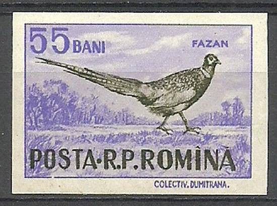 Znaczek Rumunia 1956 Mi 1619 Czyste **
