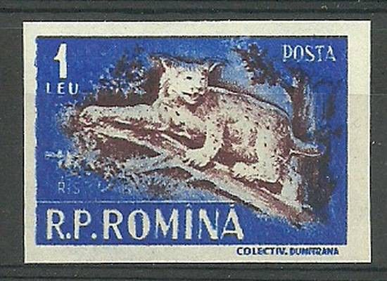 Znaczek Rumunia 1956 Mi 1620 Czyste **