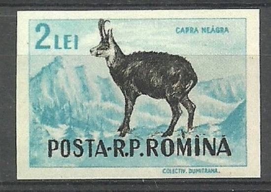 Znaczek Rumunia 1956 Mi 1623 Czyste **