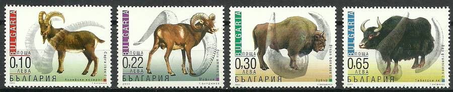 Znaczek Bułgaria 2000 Mi 4484-4487 Czyste **