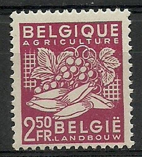 Znaczek Belgia 1948 Mi 810 Czyste **