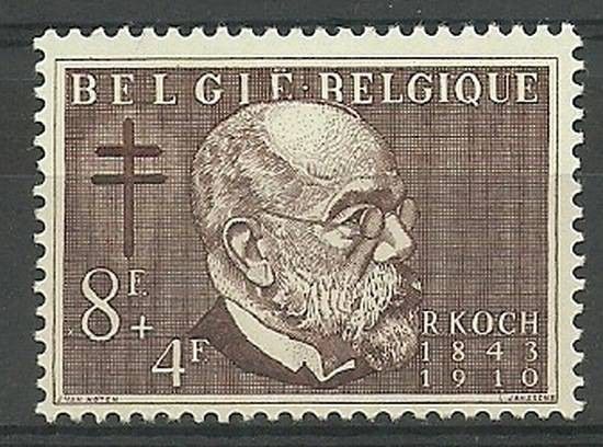 Znaczek Belgia 1953 Mi 986 Czyste **