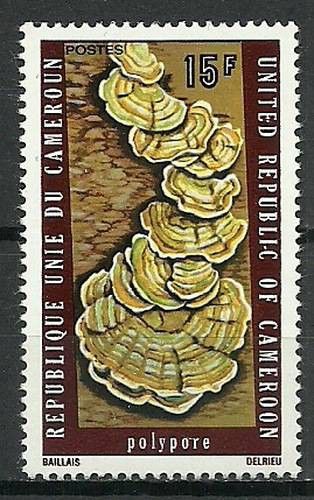 Znaczek Kamerun 1975 Mi 802 Czyste **