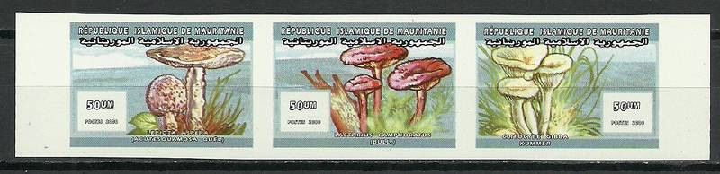 Znaczek Mauretania 2000 Mi 1058-1060aB Czyste **