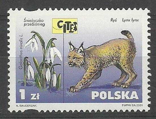 Znaczek Polska 2001 Mi 3896 Czyste **