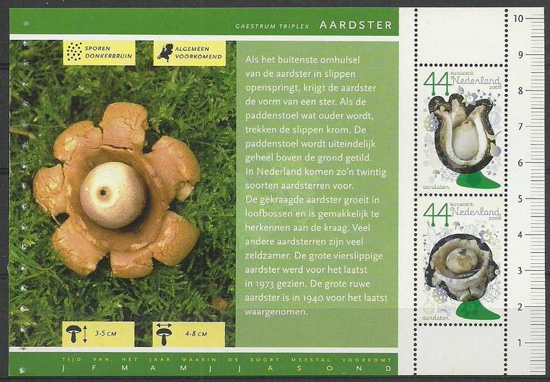 Znaczek Holandia 2008 Mi h-blatt 107 Czyste **
