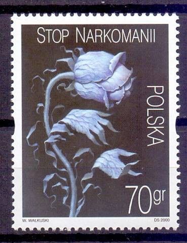 Znaczek Polska 2000 Mi 3828 Fi 3680 Czyste **