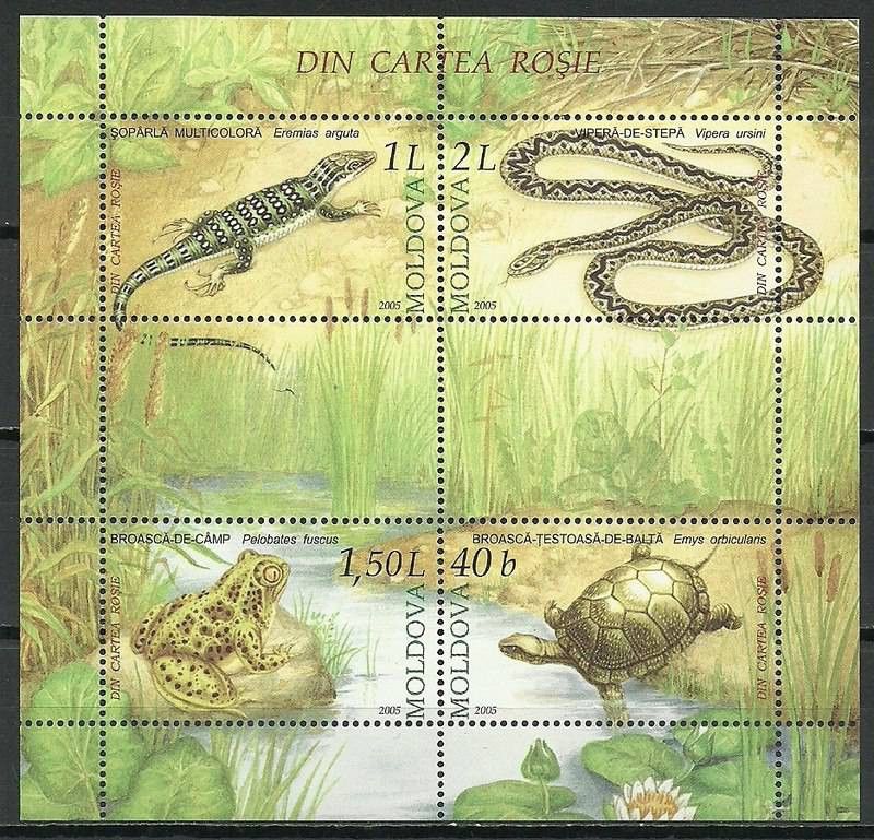 Znaczek Mołdawia 2005 Mi bl 35 Czyste **