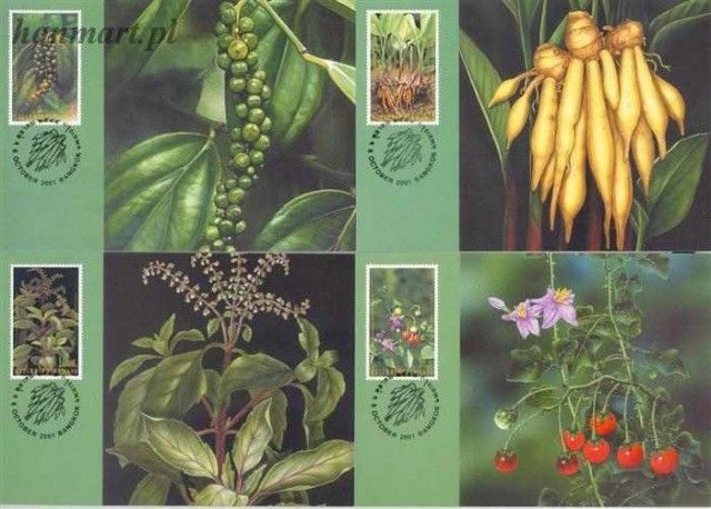 Znaczek Tajlandia 2001 Mi 2105-2108 Karta Max