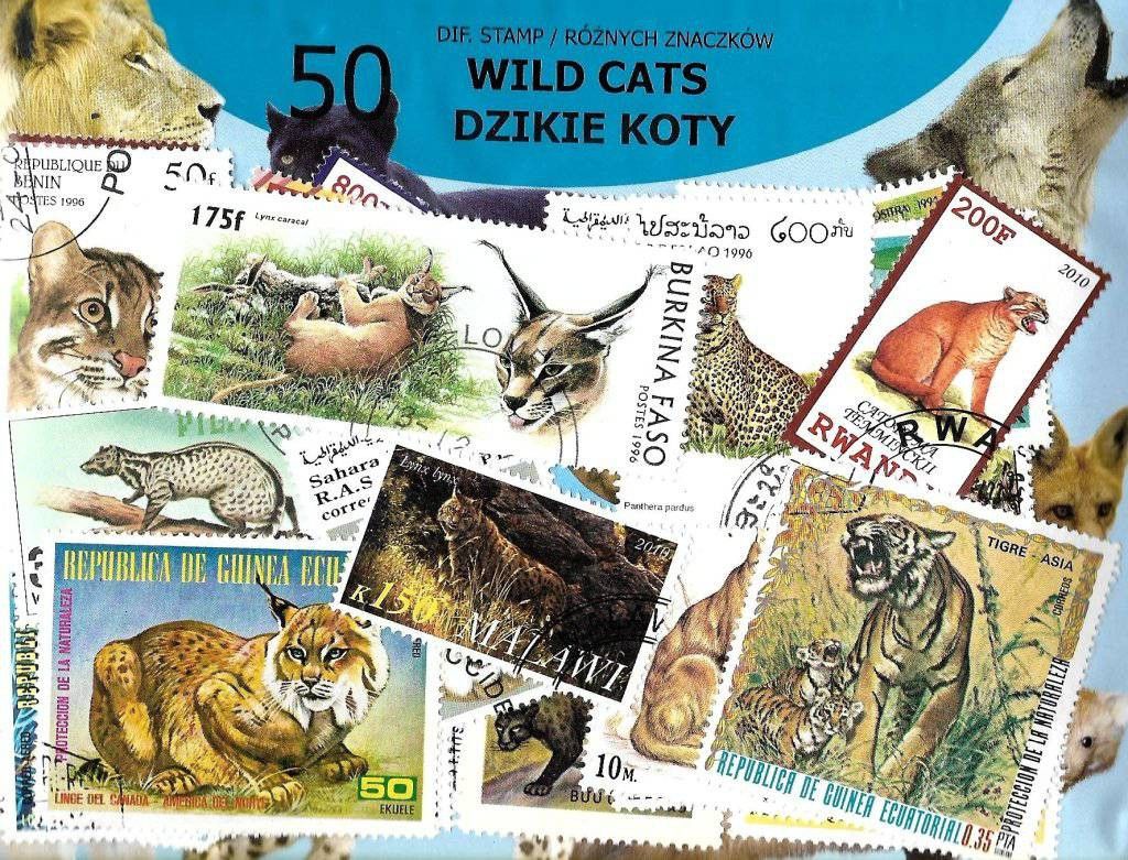 Znaczek Pakiet filatelistyczny DZIKIE KOTY 50 znaczkow