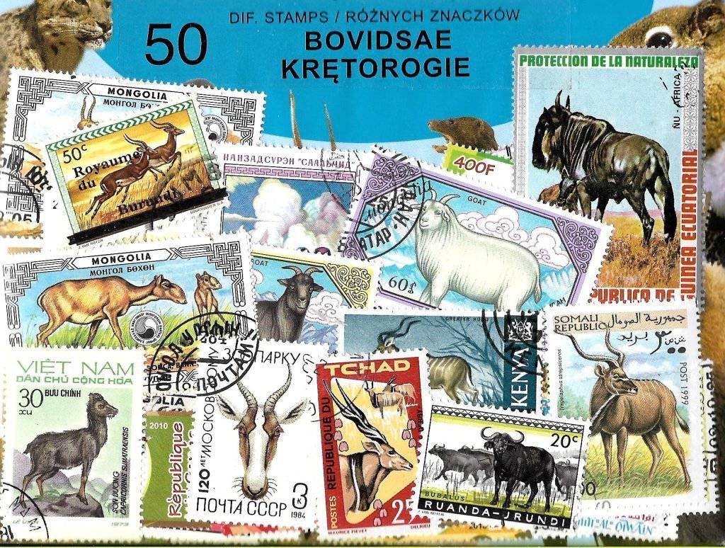 Znaczek Pakiet filatelistyczny KRĘTOROGIE 50 znaczkow