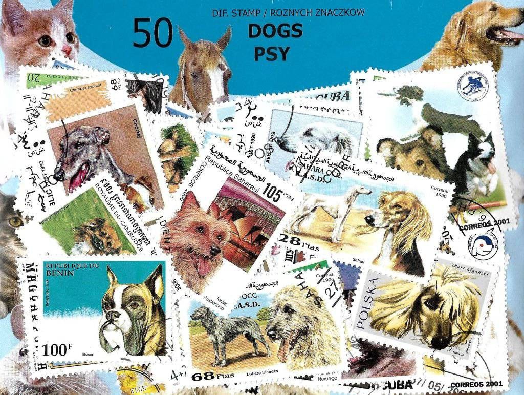 Znaczek Pakiet filatelistyczny PSY 50 znaczkow