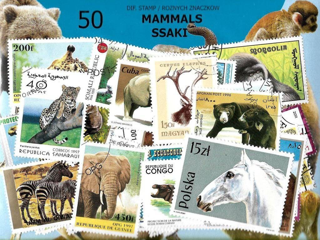 Znaczek Pakiet filatelistyczny SSAKI 50 znaczkow