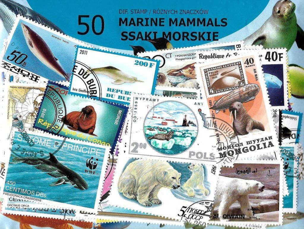 Znaczek Pakiet filatelistyczny SSAKI MORSKIE 50 znaczkow