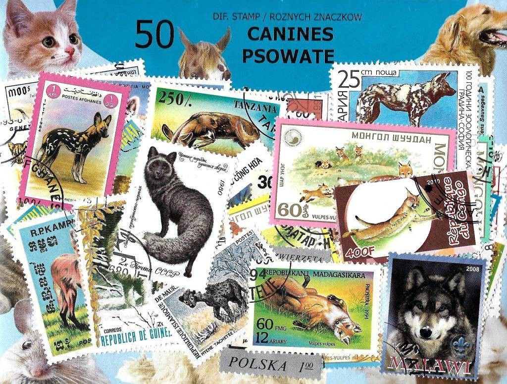 Znaczek Pakiet filatelistyczny PSOWATE 50 znaczkow