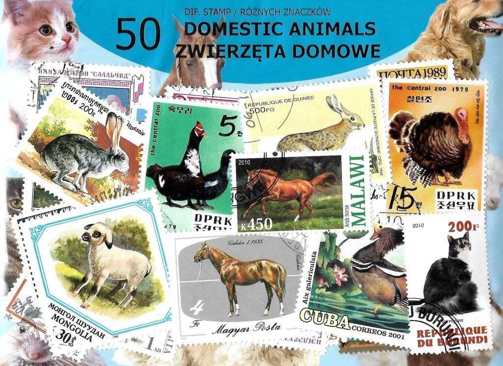 Znaczek Pakiet filatelistyczny ZWIERZĘTA DOMOWE 50 znaczkow