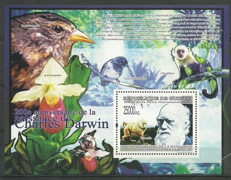 Znaczek Gwinea 2009 Mi bl 1688 Czyste **