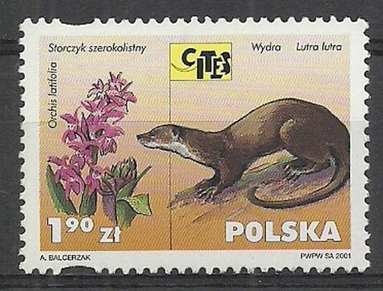 Znaczek Polska 2001 Mi 3901 Fi 3751 Czyste **