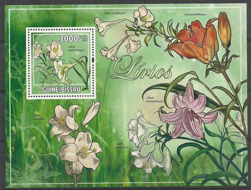 Znaczek Gwinea Bissau 2009 Mi bl 726 Czyste **