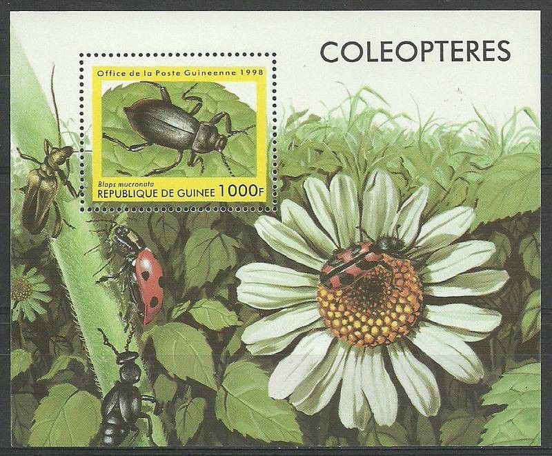 Znaczek Gwinea 1998 Mi bl 535 Czyste **