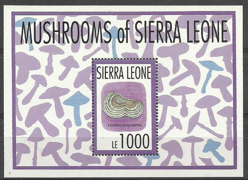 Znaczek Sierra Leone 1993 Mi bl 221 Czyste **