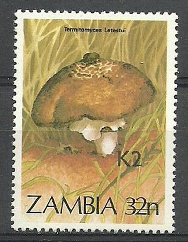 Znaczek Zambia 1991 Mi 562 Czyste **