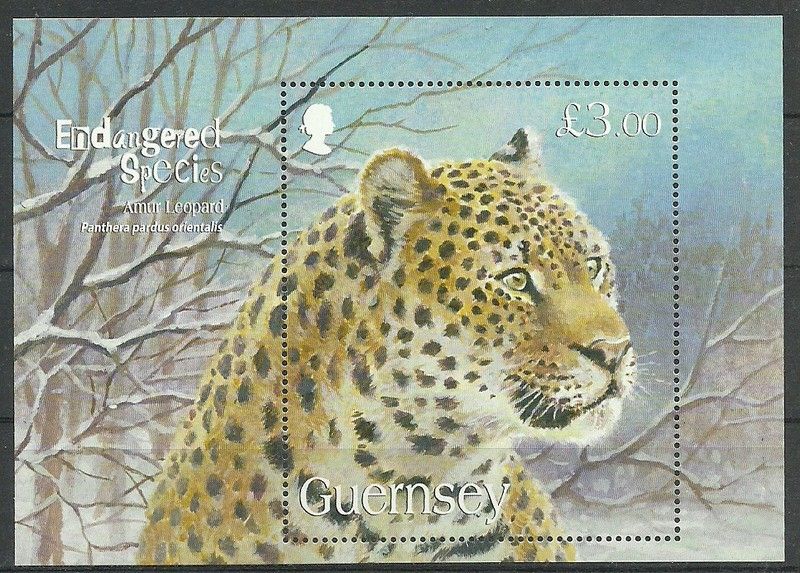 Znaczek Guernsey 2009 Mi bl 48 Czyste **