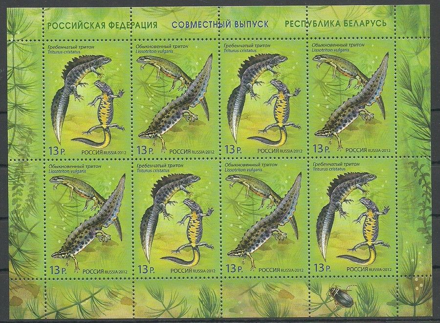 Znaczek Rosja 2012 Mi ark 1831-1832 Czyste **