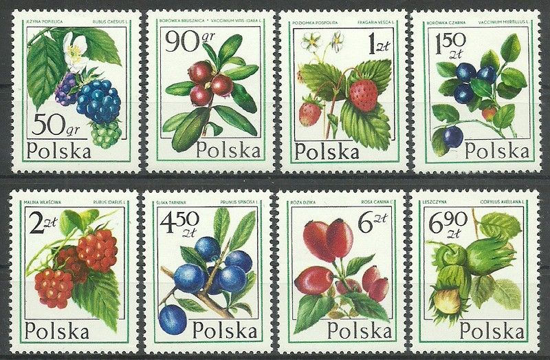 Znaczek Polska 1977 Mi 2487-2494 Fi 2340-2347 Czyste **