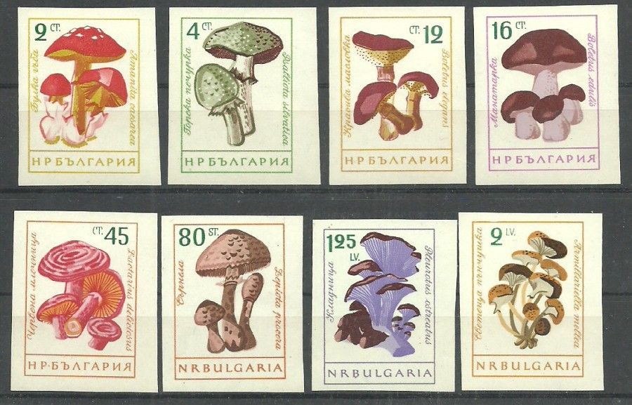 Znaczek Bułgaria 1961 Mi 1271-1278 Czyste **