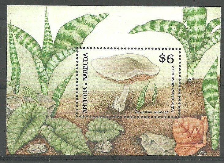 Znaczek Antigua i Barbuda 1989 Mi bl 163 Czyste **