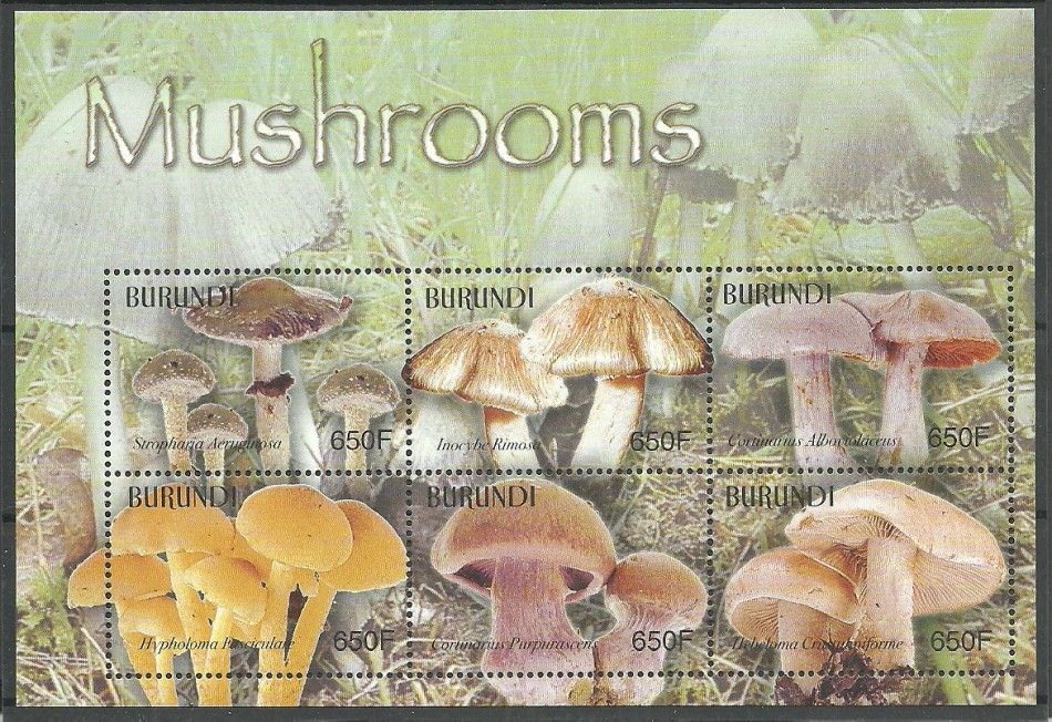 Znaczek Burundi 2004 Mi ark 1871-1876 Czyste **