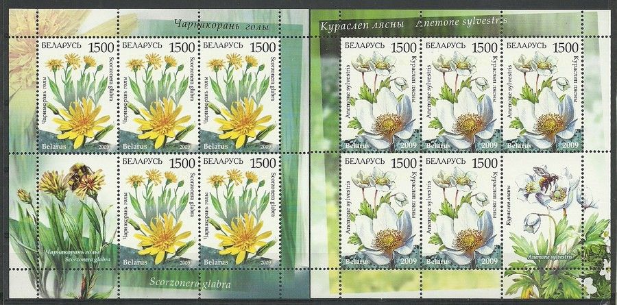 Znaczek Białoruś 2009 Mi ark 769-770 Czyste **