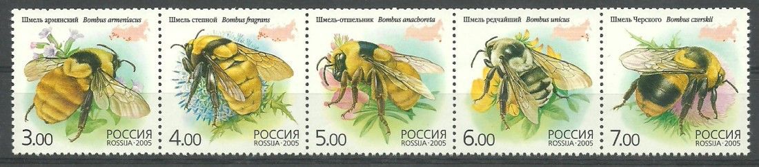 Znaczek Rosja 2005 Mi 1266-1270 Czyste **