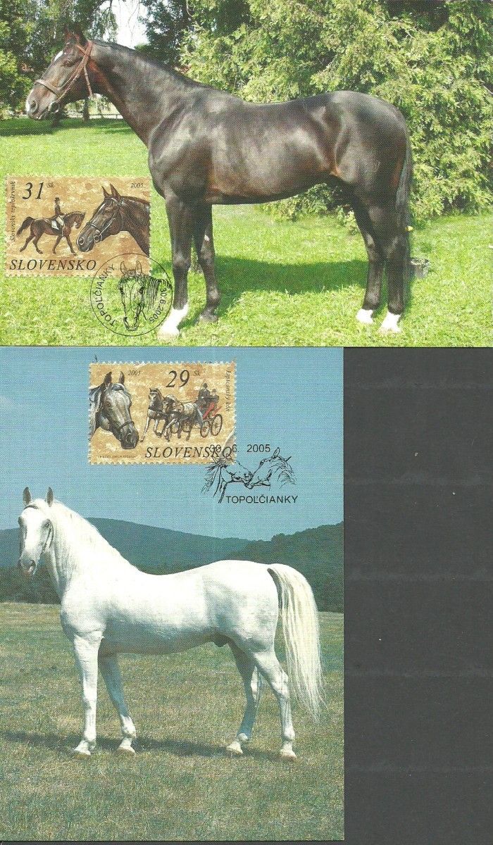 Znaczek Słowacja 2005 Mi 519-520 Karta Max